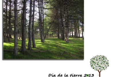 Relación plantas-animales: un equilibrio vital para la biodiversidad