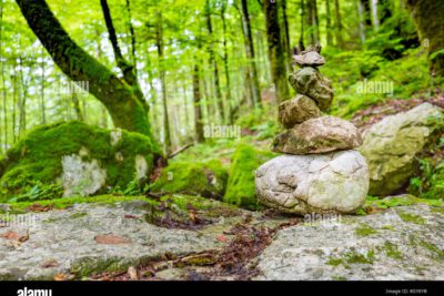 La ética ambiental: responsabilidad y valor de la naturaleza