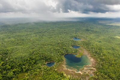 El impacto de la naturaleza en el mundo: ¡descúbrelo aquí!