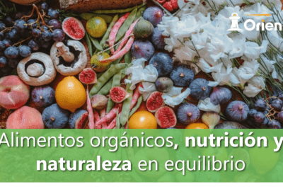 La importancia de la ecología: cuidando nuestro planeta