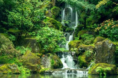 Análisis ecológico: una visión holística del medio ambiente