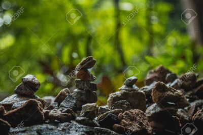 Consejos para una relación armoniosa con la naturaleza