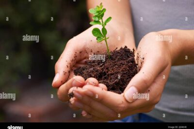 Conéctate con la energía de Gaia: armonía con la madre tierra