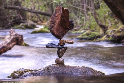 La importancia de un medio ambiente sano: Cuidemos nuestro entorno