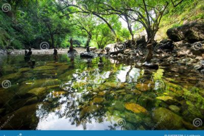 La relación crucial entre medio ambiente y paz