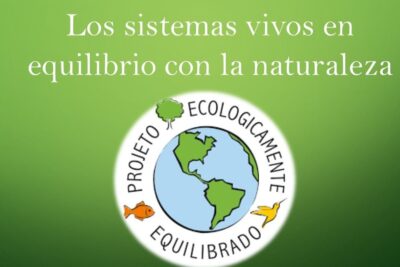 La importancia de la ecología y su impacto en el medio ambiente