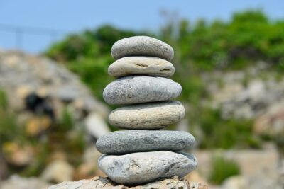 Principios fundamentales de la ecología y su importancia en el medio ambiente