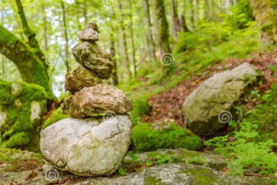 Principios éticos fundamentales para la preservación de la naturaleza