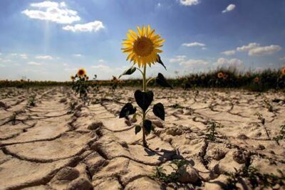 Recursos naturales: transformación y aprovechamiento