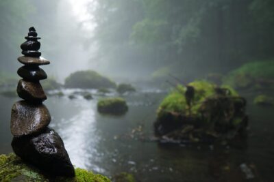 Conciencia ecológica: Cuidar el planeta para un futuro sostenible