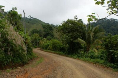 Principios fundamentales del medio ambiente: Conoce cuáles son