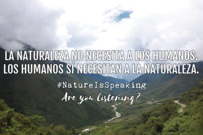 Origen y significado de la palabra naturaleza en español