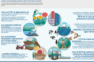 Reflexión sobre el medio ambiente: conciencia, conocimiento y acción