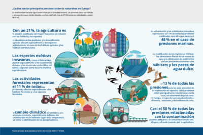La importancia de cuidar la naturaleza para el futuro del planeta