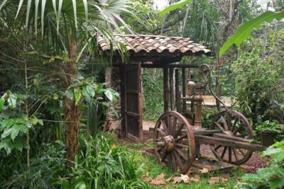 Los regalos de la naturaleza: belleza, tranquilidad y vida plena