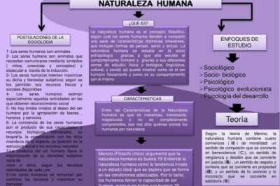 Exploración de la naturaleza humana en la antropología filosófica