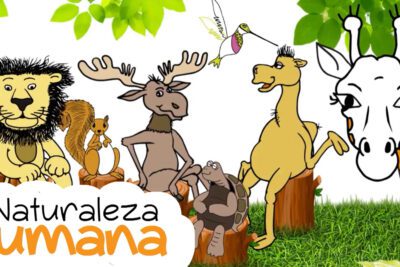 Explorando las dimensiones esenciales de la naturaleza humana