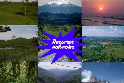 Principios fundamentales de la naturaleza humana: una visión esencial