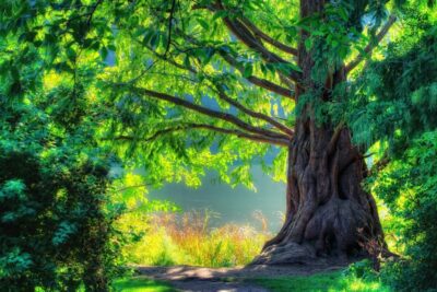 La importancia de la naturaleza humana y su esencia