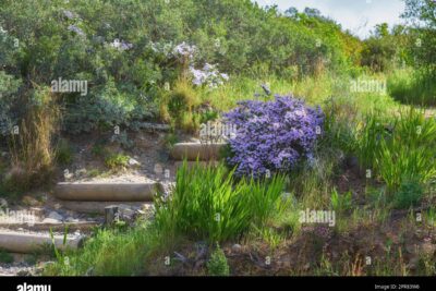 Lugares para retiros espirituales: encuentra paz y conexión interior