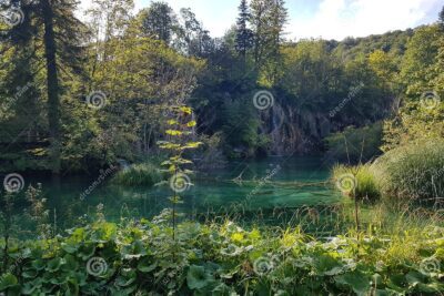 El significado de natural en la naturaleza sin intervención humana