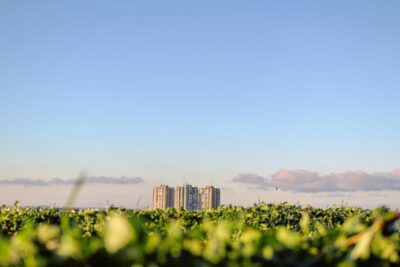 Turismo ecológico: una experiencia sostenible en la naturaleza