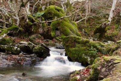Guía completa de los beneficios para la salud al aire libre