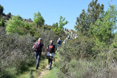 Beneficios de las actividades al aire libre: salud y diversión