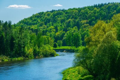 El agua: el elemento esencial para la existencia de la naturaleza