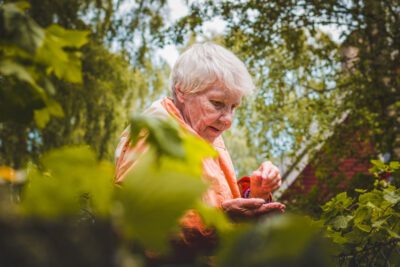 Beneficios de conectar con la naturaleza: bienestar psicológico
