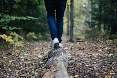 Los beneficios de la naturaleza: conexión, relajación y bienestar