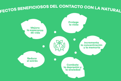 La relación entre el medio ambiente y la psicología humana