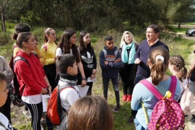 Beneficios de la conexión con la naturaleza: vitalidad y bienestar