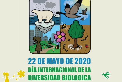 Beneficios del contacto con la naturaleza para el bienestar total