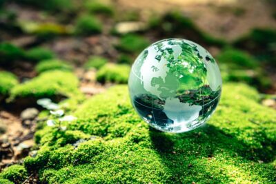 Objetivos de protección ambiental: biodiversidad y sostenibilidad