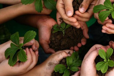 Capítulo 5 de Laudato Si: Acciones y educación ecológica