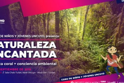 Principios del movimiento ecologista: protección y sostenibilidad ambiental