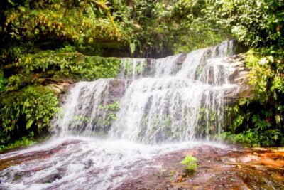 Guía para conectarse con la tierra: las mejores técnicas exploradas