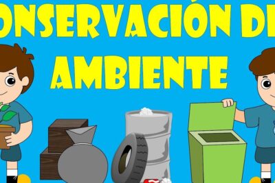 Importancia de las normas ambientales para proteger el medio ambiente