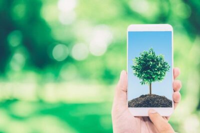 Temas del capítulo 2 de Laudato Si: Ecología y cuidado común