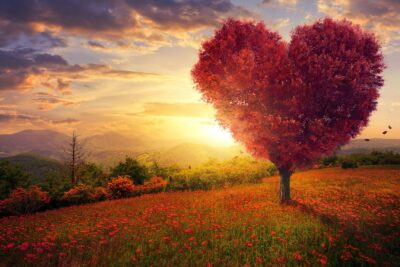 La importancia de respetar la naturaleza y cuidar el entorno