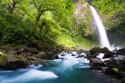 Derechos fundamentales del medio ambiente: ¿Cuáles son?