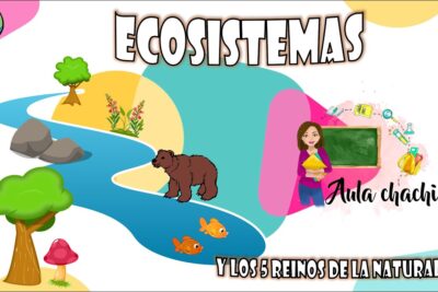 Importancia y características de la ecología en el medio ambiente