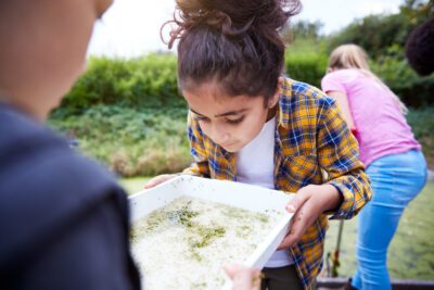 La importancia de la ecología en la educación: cuidar el planeta, formar ciudadanos responsables
