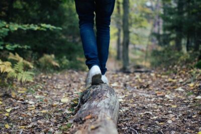 La relación naturaleza y energía: clave para el equilibrio ambiental