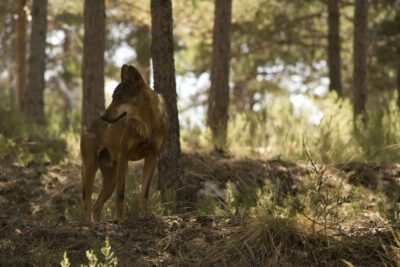 La importancia de comprender la realidad natural y nuestro entorno