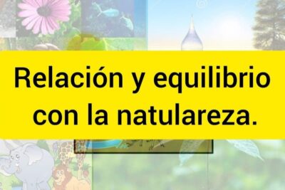 Consejos para vivir en armonía con la naturaleza y lograr equilibrio