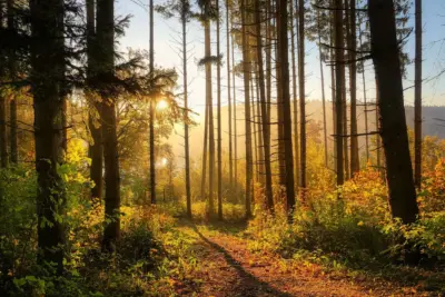 La importancia crucial de la naturaleza para la existencia humana
