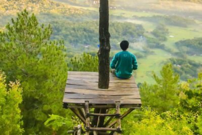 La gratitud hacia Dios por la belleza de la naturaleza y su expresión