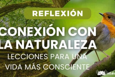 Aprendiendo de la naturaleza: lecciones de nuestro entorno